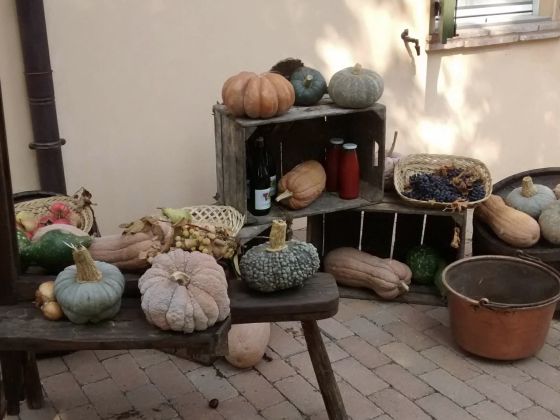 Podere Acquechiare - foto 4